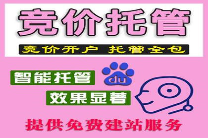 SEM托管公司案例：业绩提升之道